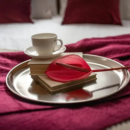 Colora By Mb Appartement *